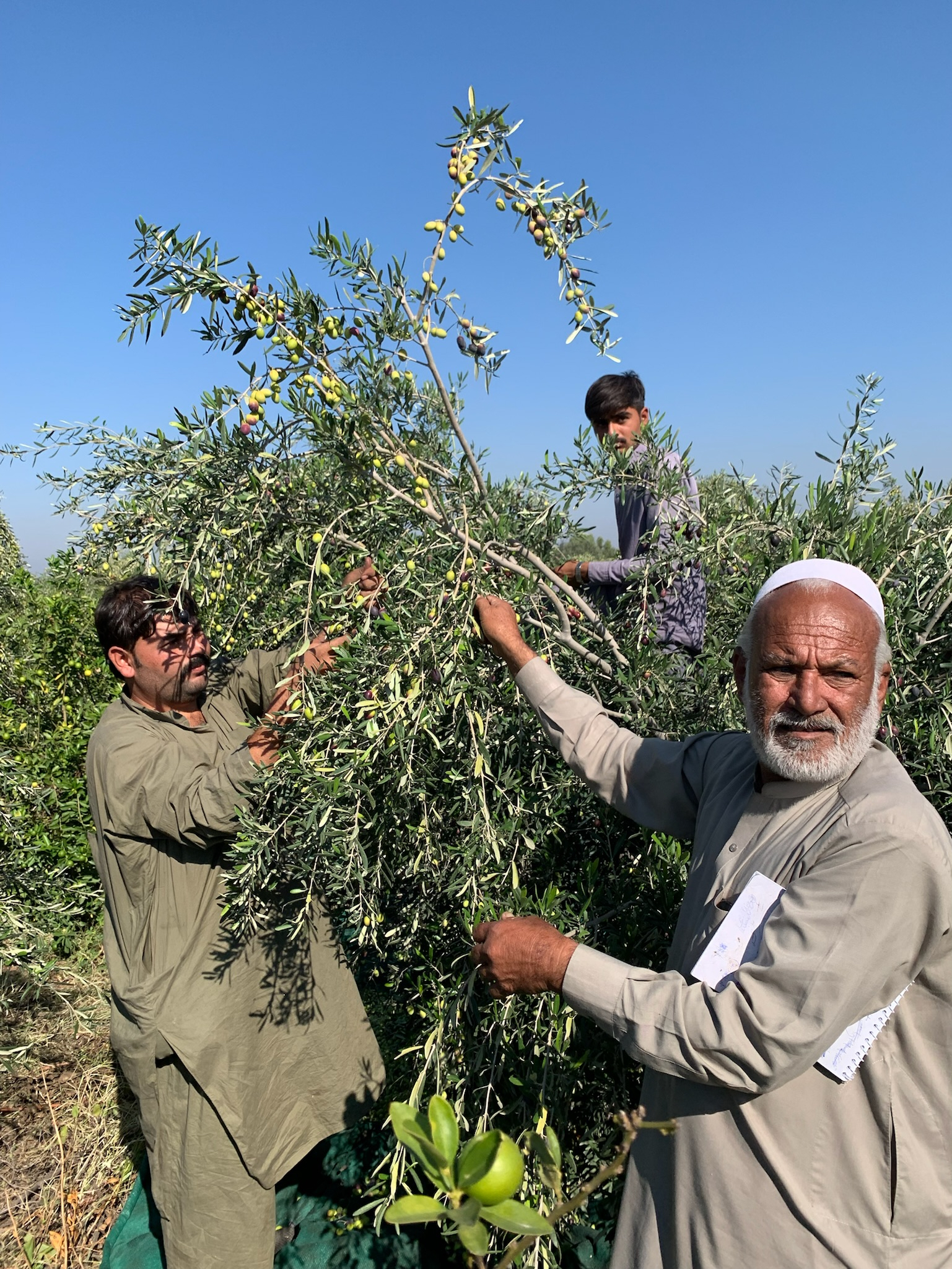 AFGHANISTAN: Rapporto di WeWorld “Her Future at Risk”