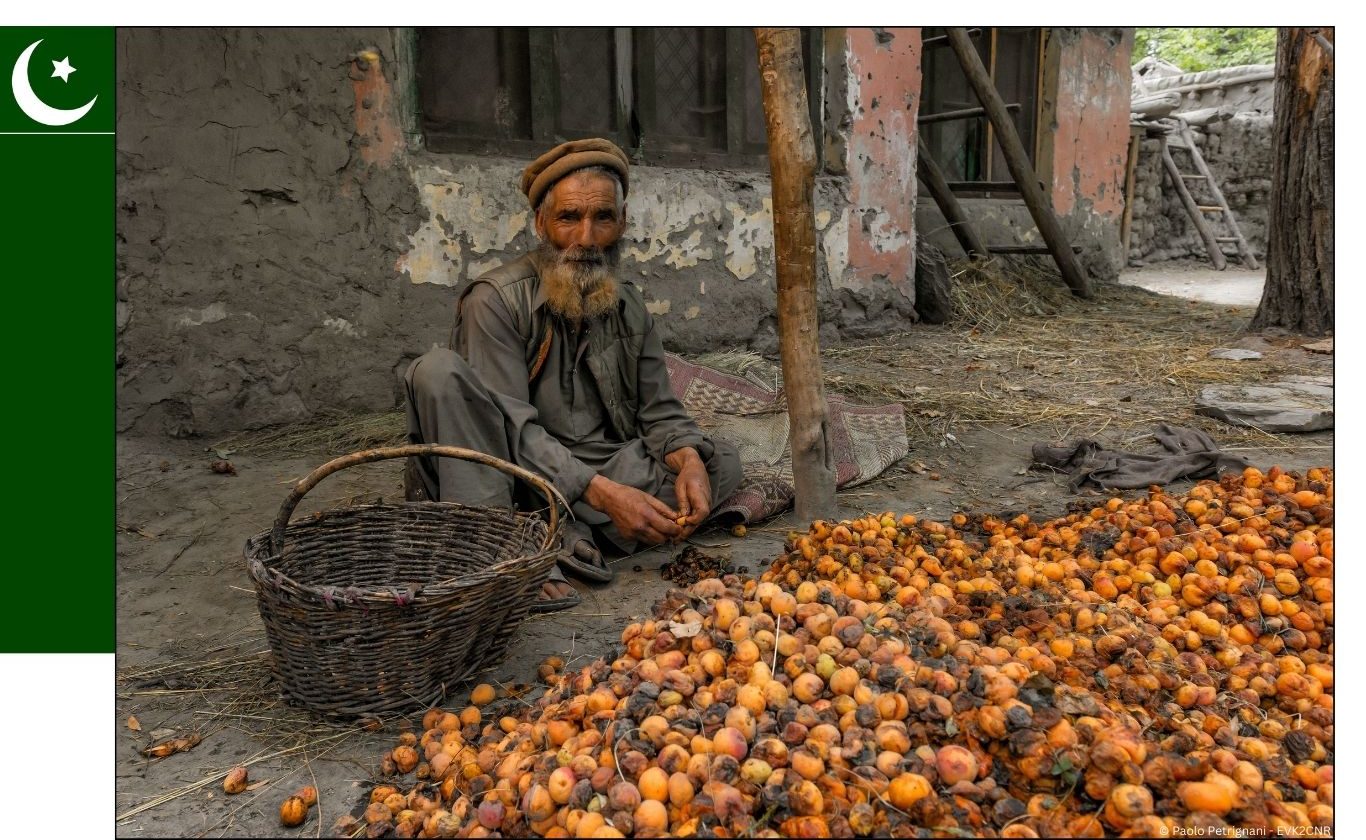 AICS Islamabad Annual Report 2023 is ONLINE!