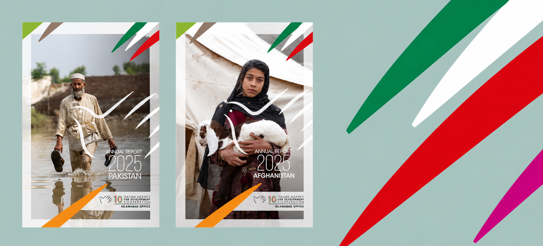 Annual Reports 2025 – Pakistan and Afghanistan