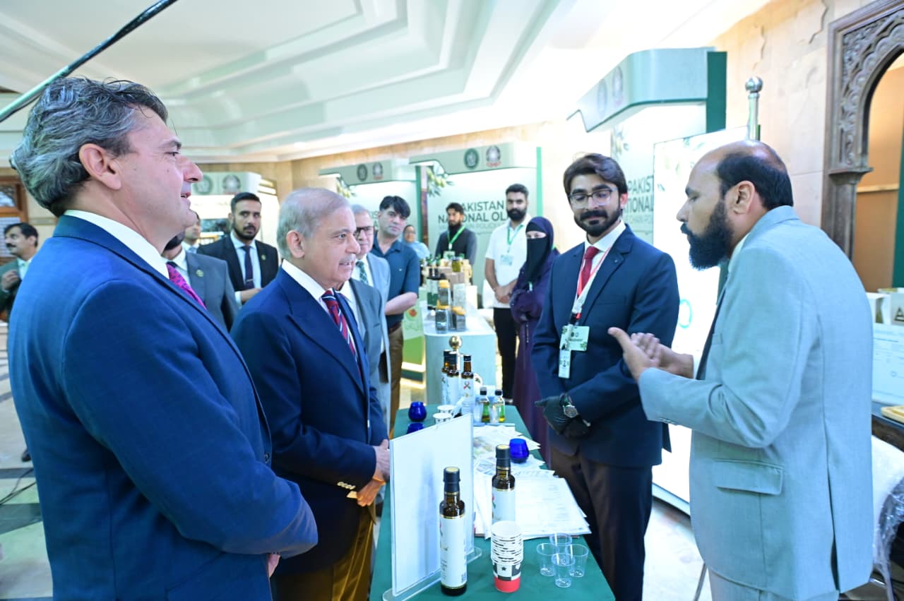Il Pakistan lancia la Politica nazionale per la filiera dell’olivo con il sostegno dell’Italia